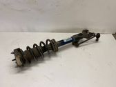Front shock absorber with coil spring