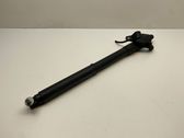 Tailgate/trunk strut/damper