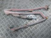 Roof airbag