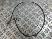 Exhaust gas temperature sensor