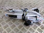 Roof airbag