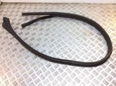 Front door rubber seal