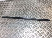 Windshield trim