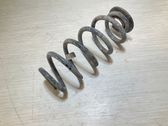 Rear coil spring