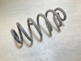 Rear coil spring