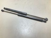Tailgate/trunk strut/damper