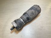 Rear air suspension bag/shock absorber