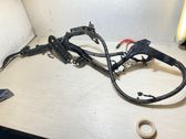 Positive wiring loom
