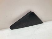 Fender trim (molding)