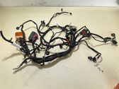 Other wiring loom