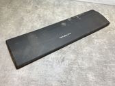 Listón embellecedor de la puerta delantera (moldura)