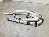 Roof airbag