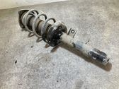 Front shock absorber/damper