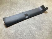Rear/tail light trim molding