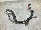 Other wiring loom