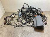 Other wiring loom