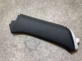 (C) pillar trim