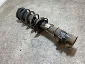 Front shock absorber/damper