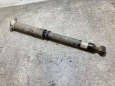 Rear shock absorber/damper