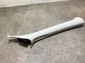 (A) pillar trim