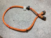 Other wiring loom