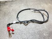 Other wiring loom