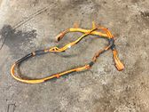Other wiring loom