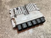 Engine control unit/module ECU