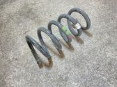 Rear coil spring