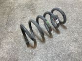 Rear coil spring