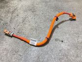 Other wiring loom