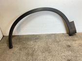 Fender trim (molding)