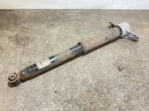 Rear shock absorber/damper