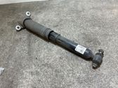 Stoßdämpfer hinten