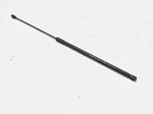Front bonnet/hood damper/strut