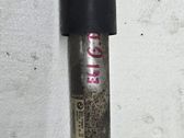 Rear shock absorber/damper