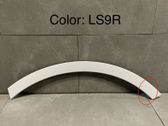 Fender trim (molding)