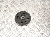 Camshaft pulley/ VANOS