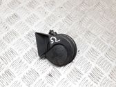 Horn signal