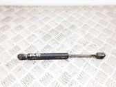 Tailgate/trunk strut/damper