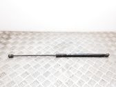 Tailgate/trunk strut/damper
