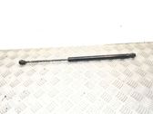 Tailgate/trunk strut/damper