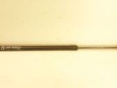 Tailgate/trunk strut/damper