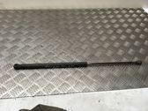 Front bonnet/hood damper/strut