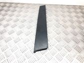 Listón embellecedor de la puerta delantera (moldura)