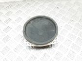 Rear door speaker