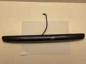 Trunk door license plate light bar