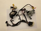 Ignition lock