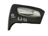 Mirror indicator light