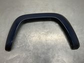 Fender trim (molding)